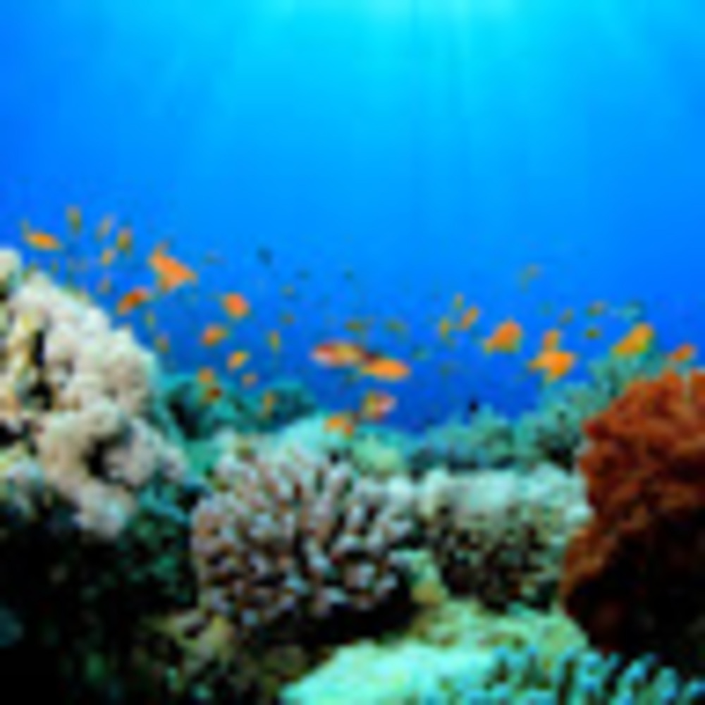 Meet your Posher, Nur